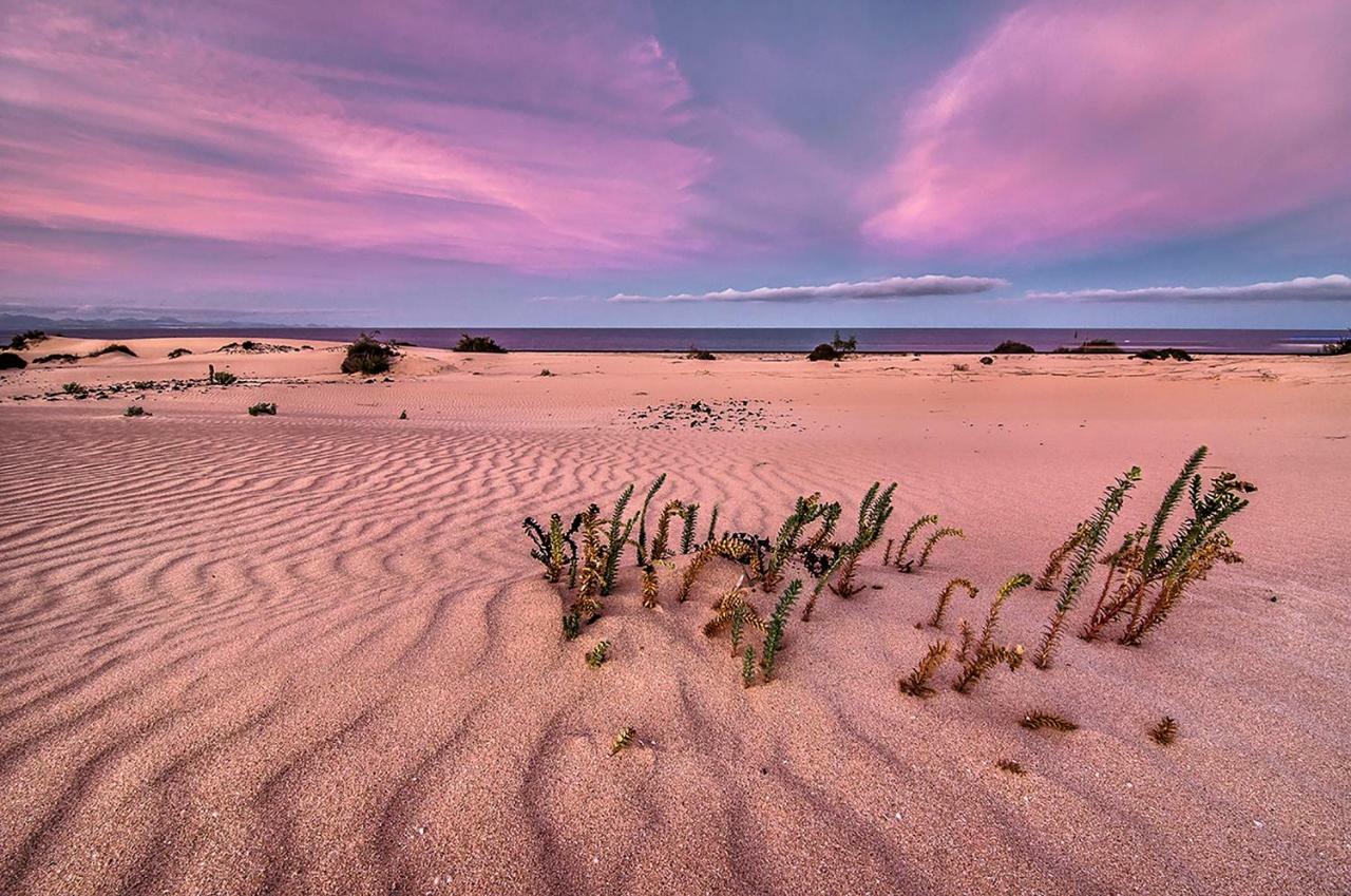 Little Paradise كوراليهو المظهر الخارجي الصورة